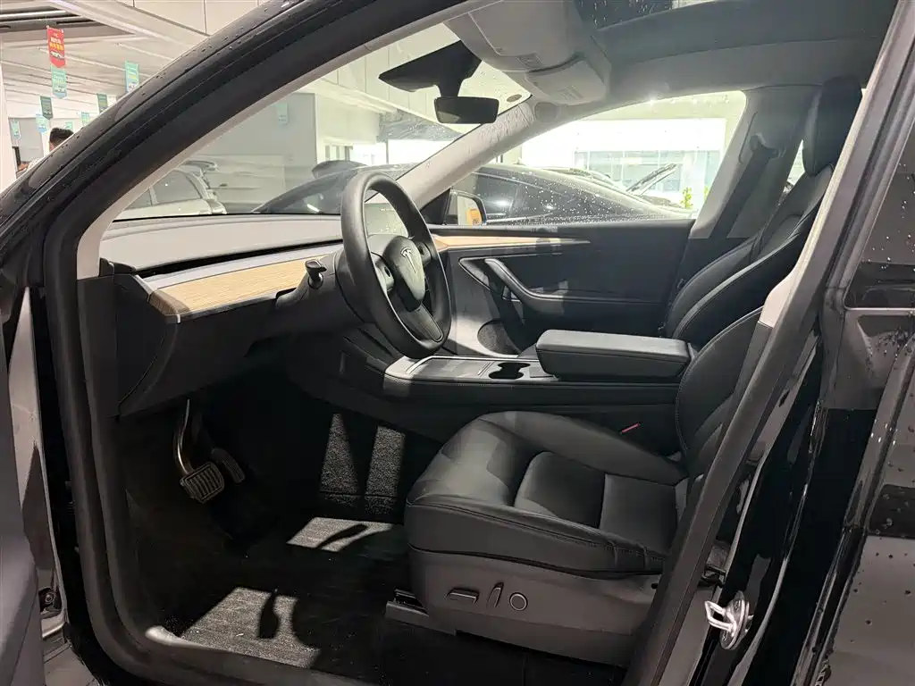 Tesla Model Y — миниатюра 8