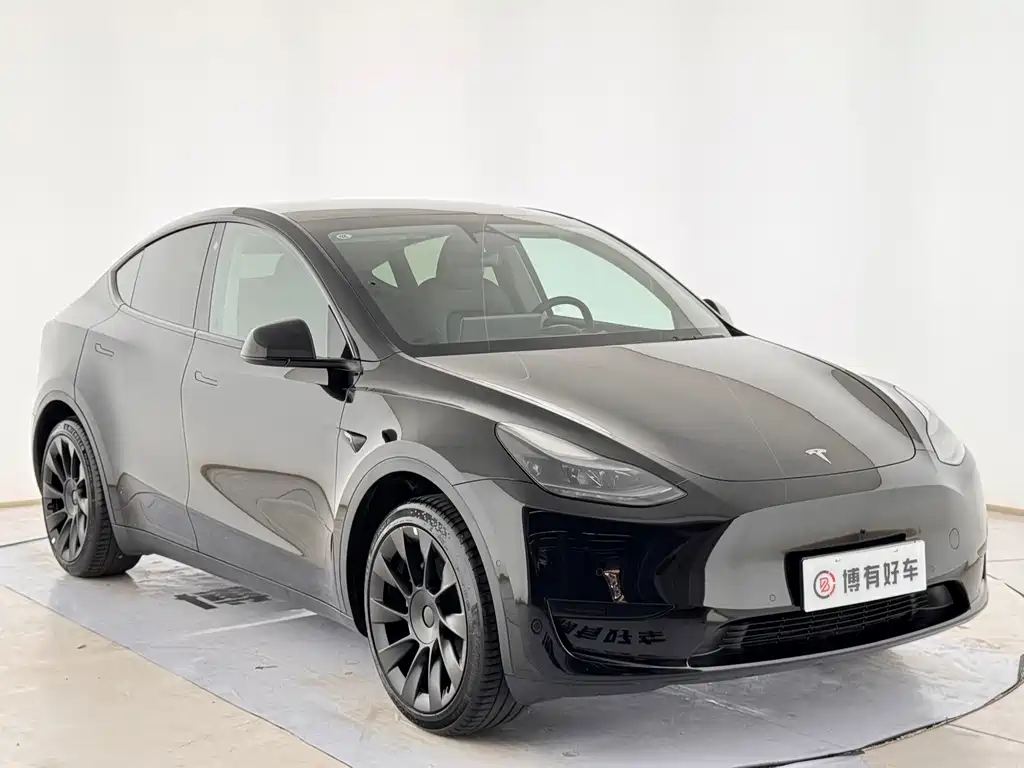 Tesla Model Y — миниатюра 4