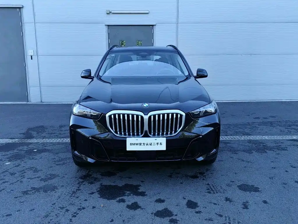 BMW X5 — миниатюра 2