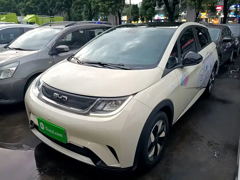 BYD Dolphin — миниатюра 2