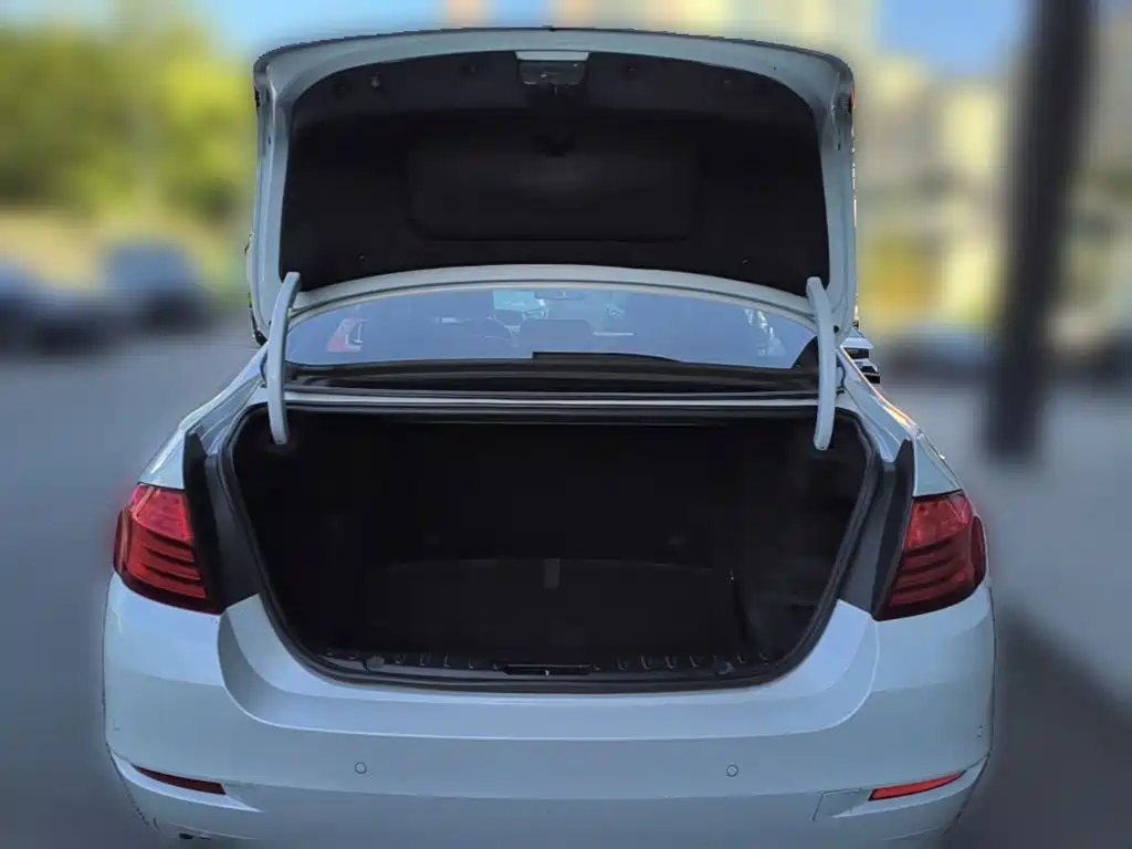 BMW 5 Series — миниатюра 10