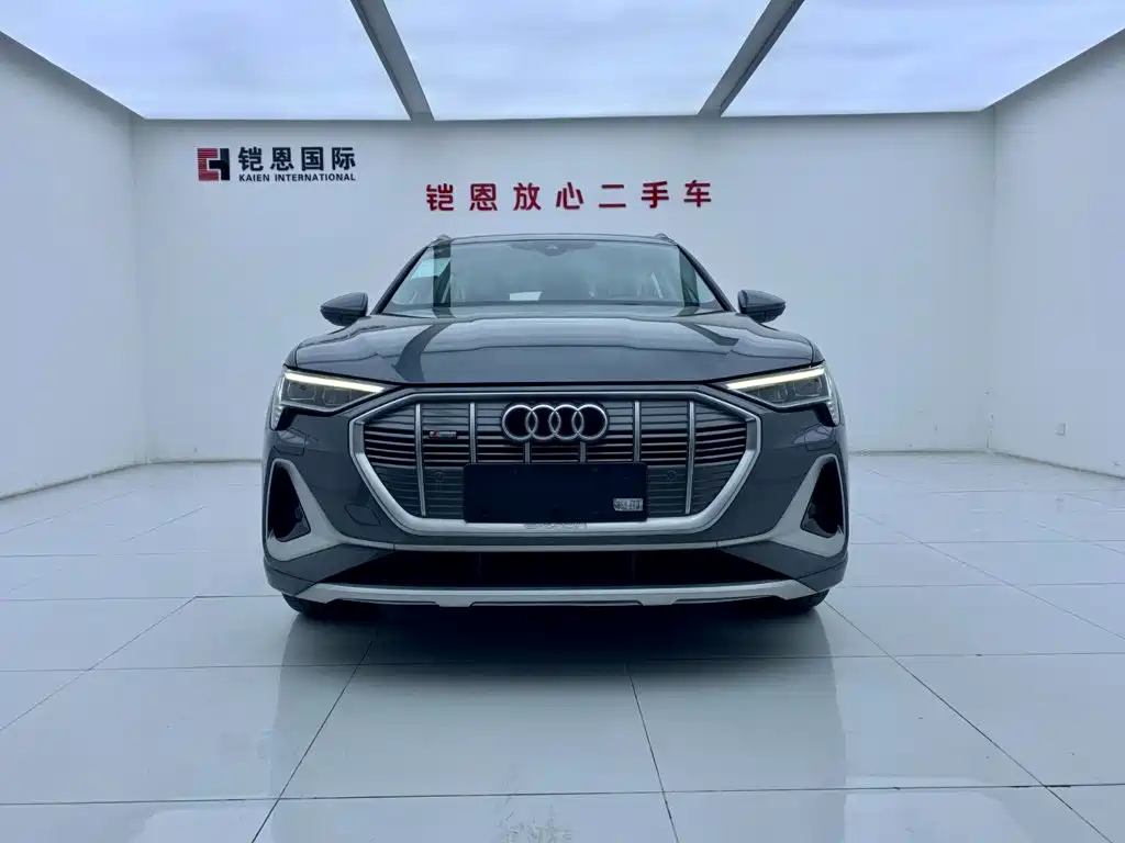 Audi e-tron — миниатюра 3