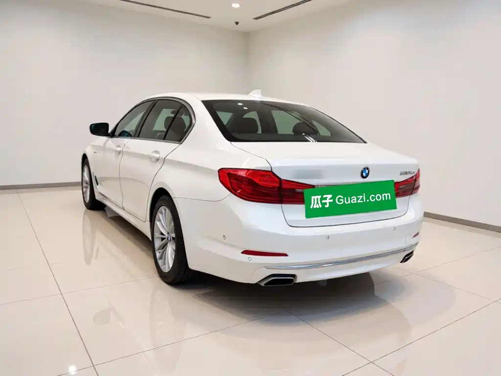 BMW 5 Series 5 2020 530Le Luxury