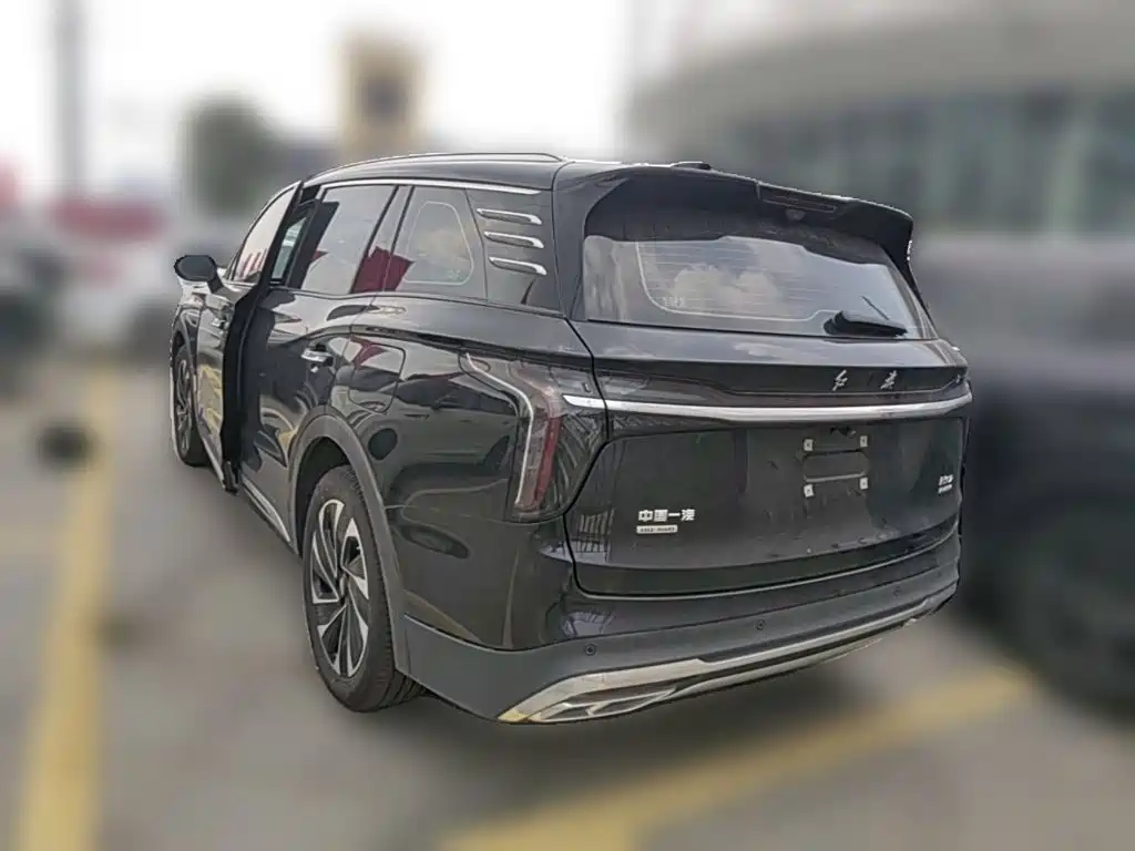 Hongqi Hongqi HS7 PHEV — миниатюра 6