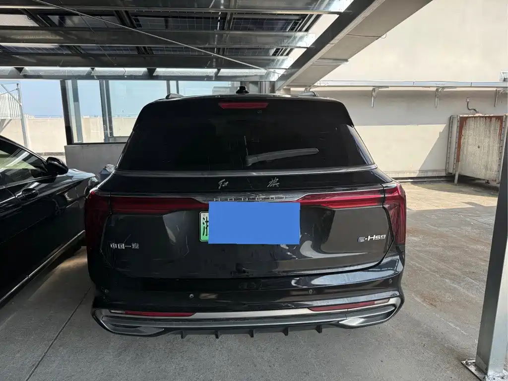 Hongqi Hongqi E-HS9 — миниатюра 11