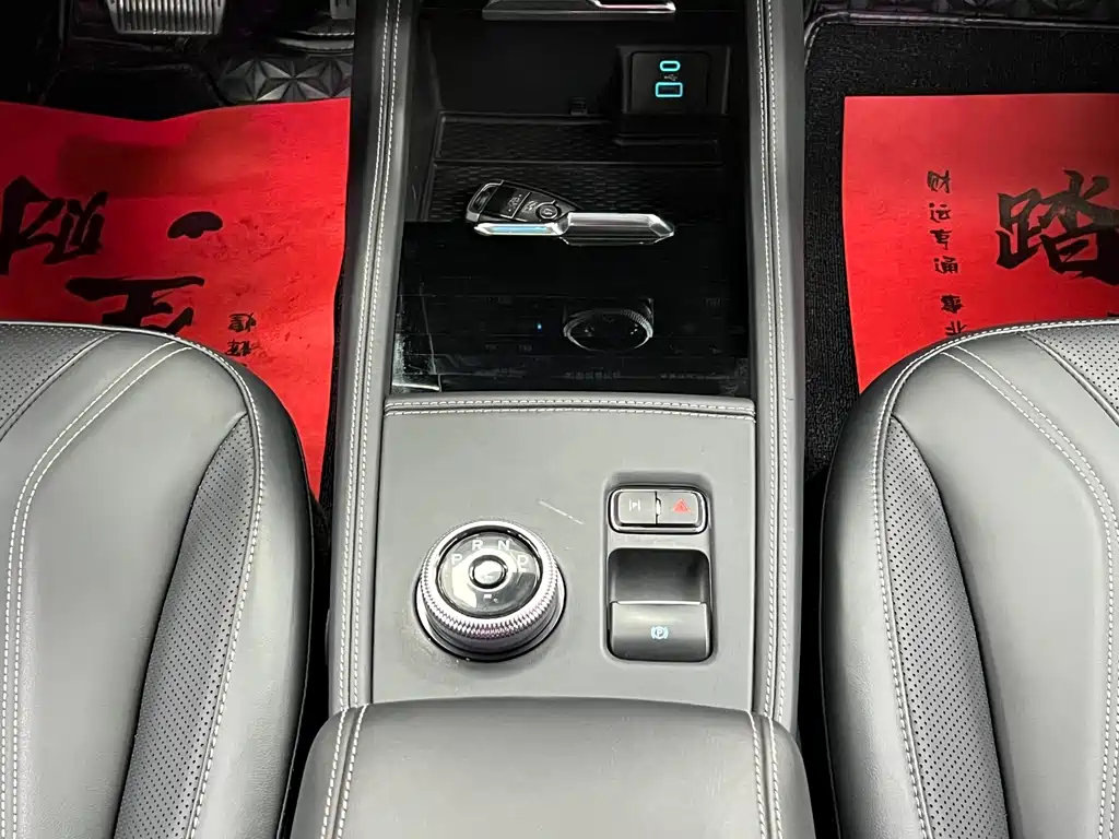 Ford Mustang Mach-E — миниатюра 25