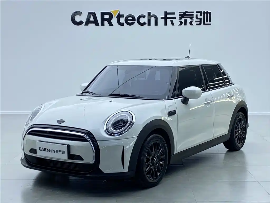 Mini Mini 2024