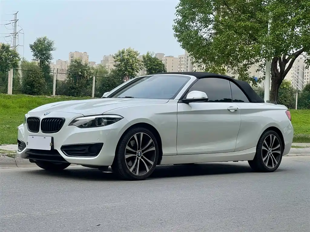 BMW 2 Series Import