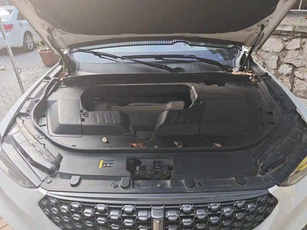 Wey Wey VV6 — миниатюра 11