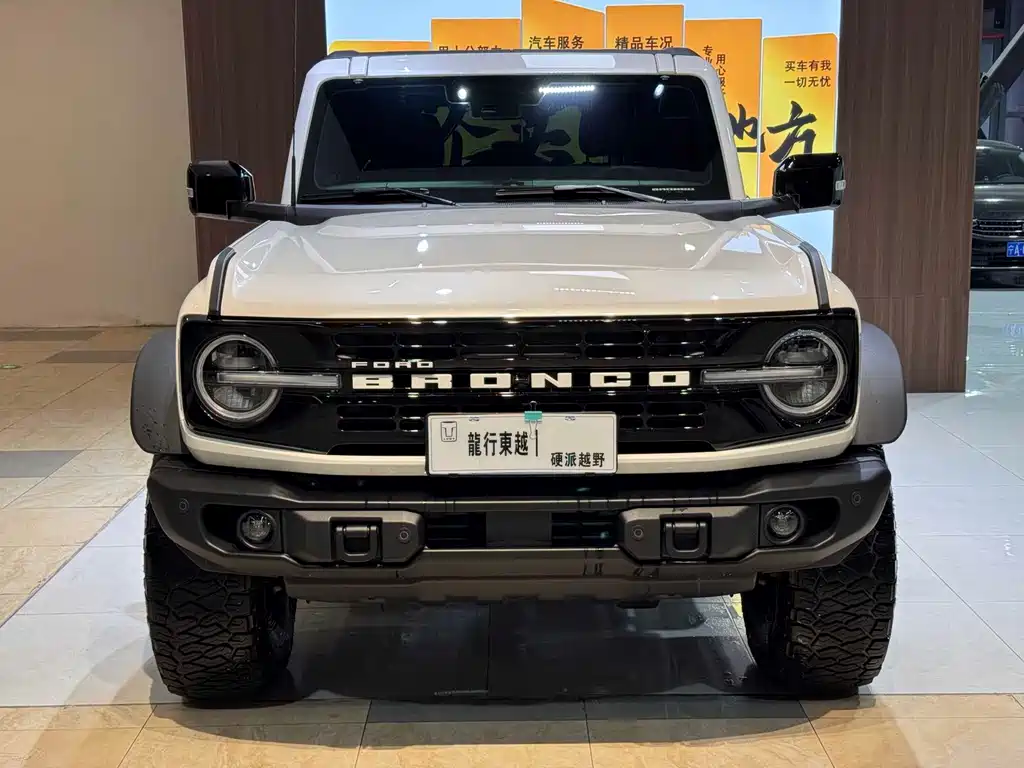 Ford Bronco — миниатюра 2