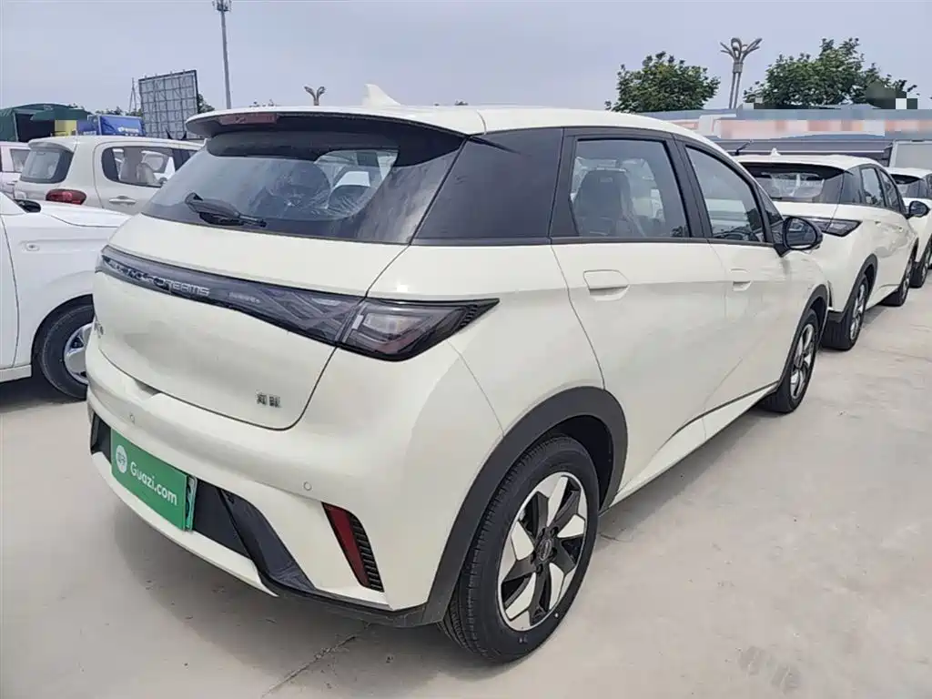 BYD Dolphin 2025 420km Freedom