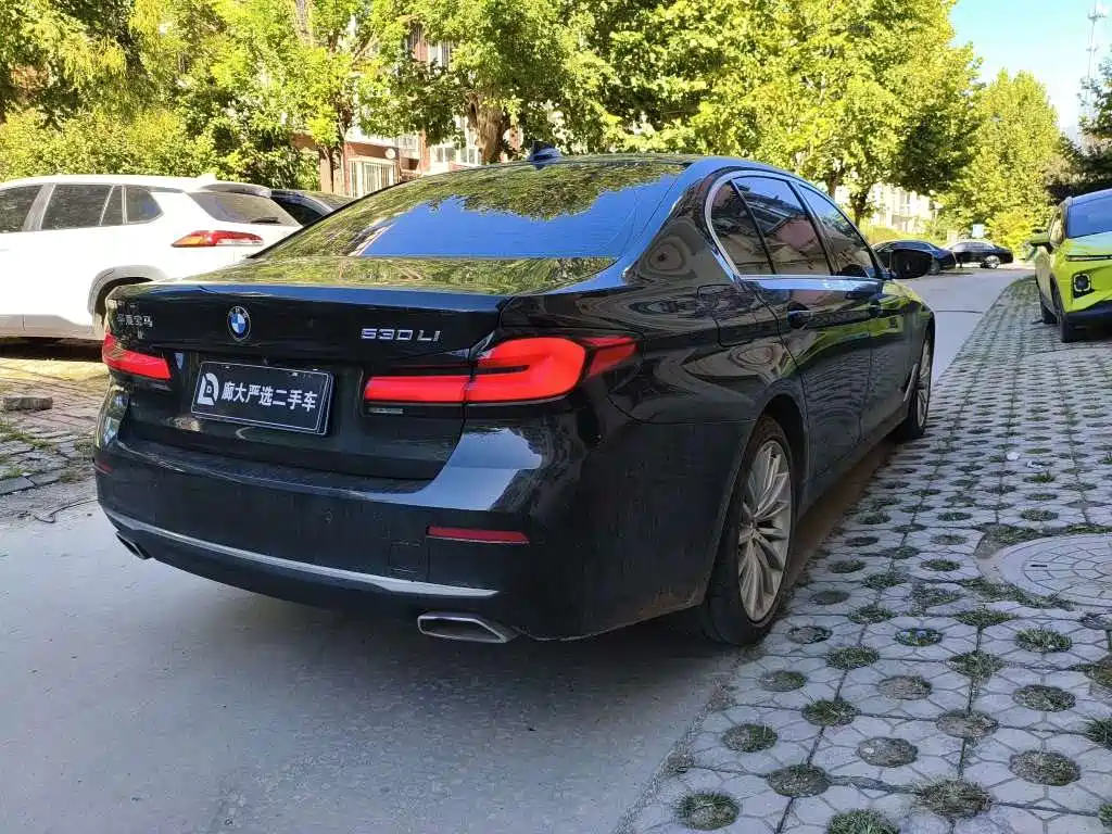 BMW 5 Series — миниатюра 4