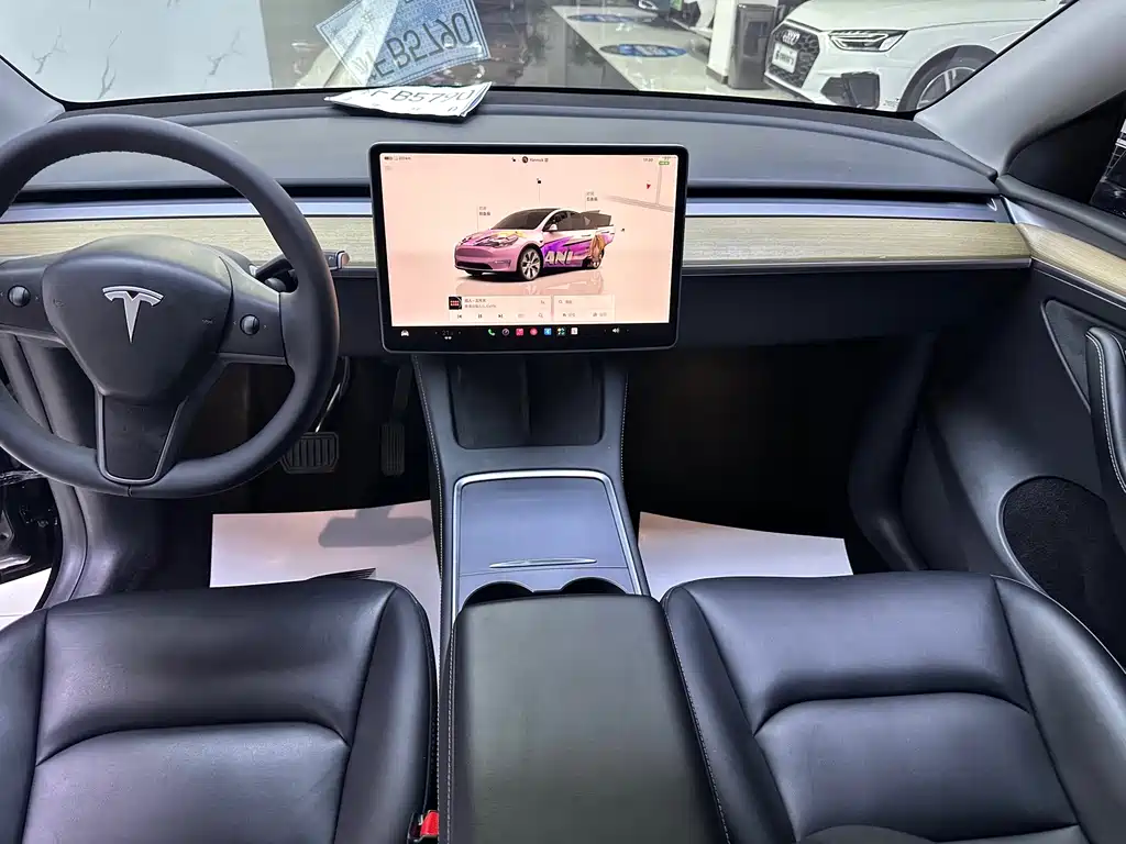 Tesla Model Y — миниатюра 6