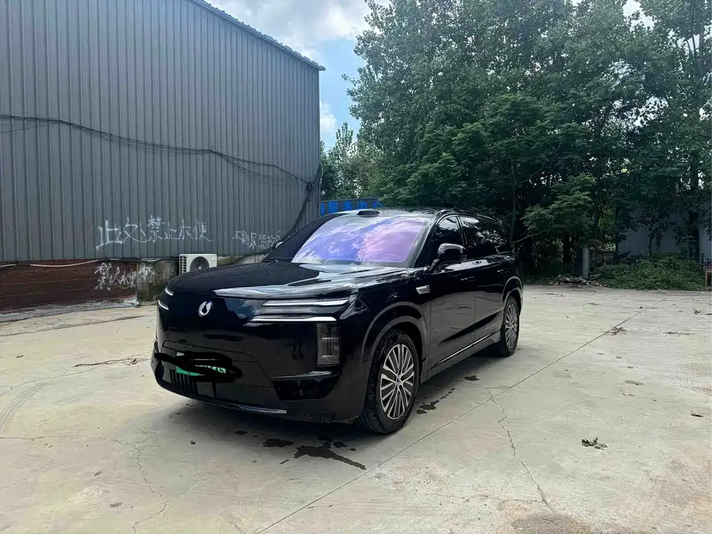 Denza Zoom N8L — миниатюра 2
