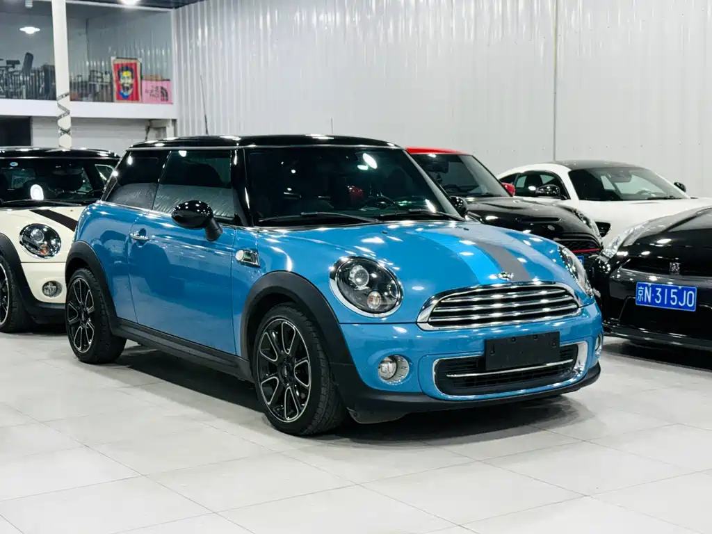 Mini Mini 2013