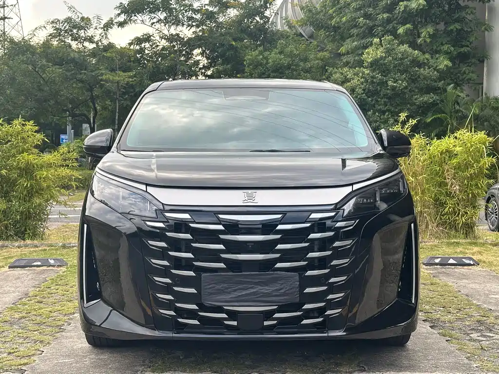 BYD Xia — миниатюра 2