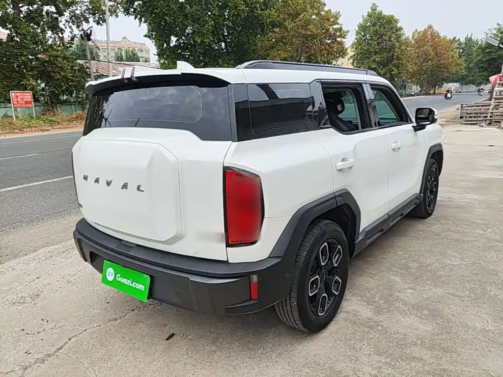 Haval Cool Dog — миниатюра 7