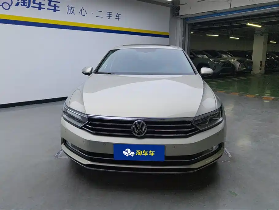 Volkswagen Magotan 2019 330TSI DSG Luxury VI