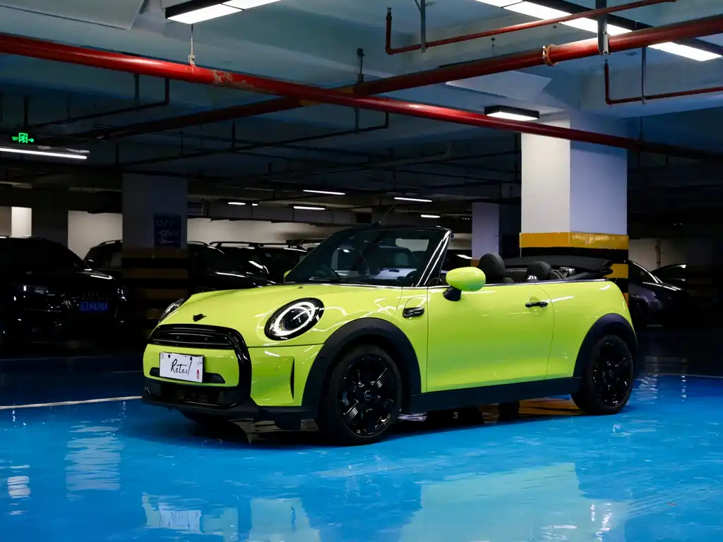 Mini Mini 2023
