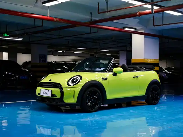 MINI 
