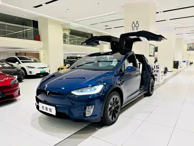 TESLA MODEL X 2020