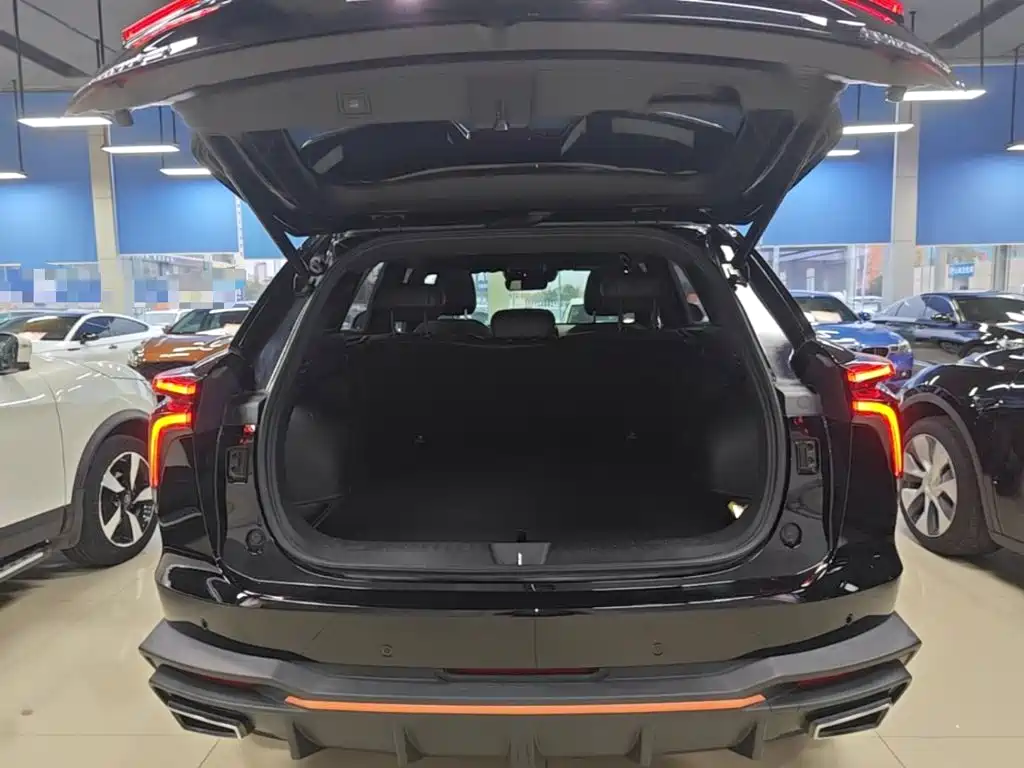 Haval Shenshou — миниатюра 19