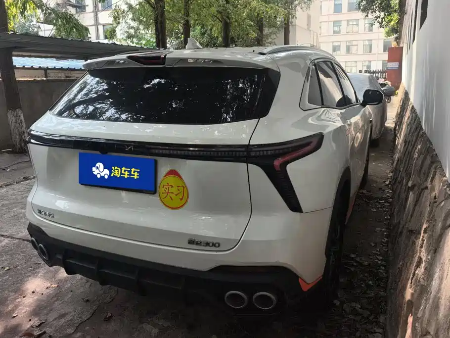 Cowin Kunlun — миниатюра 3