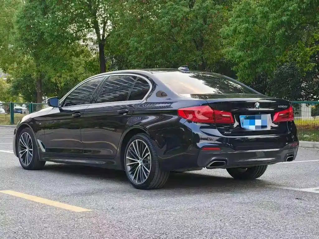 BMW 5 Series 5 2019 530Li Lead M Sport