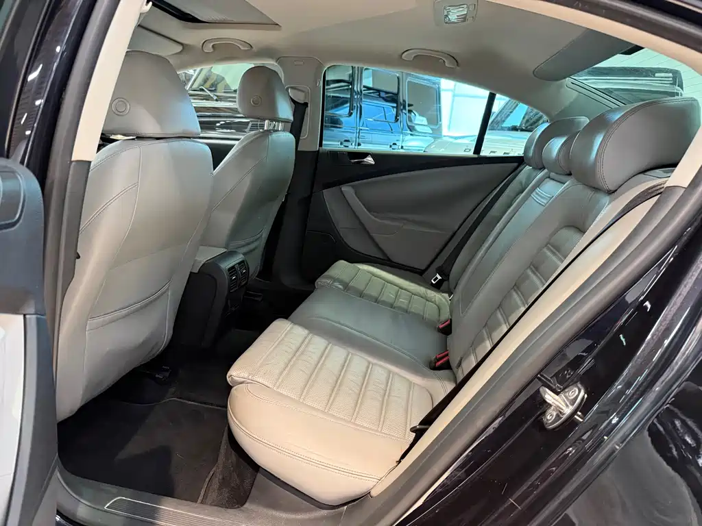 Volkswagen Magotan (Import) — миниатюра 9