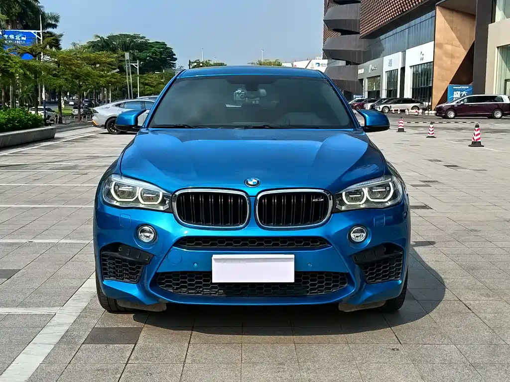 BMW X6 M — миниатюра 2