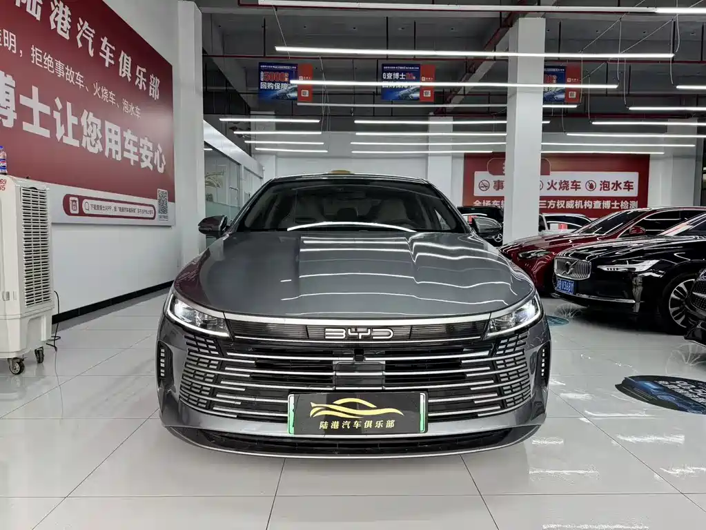 BYD Destroyer 05 2024 DM-i 55KM Luxury