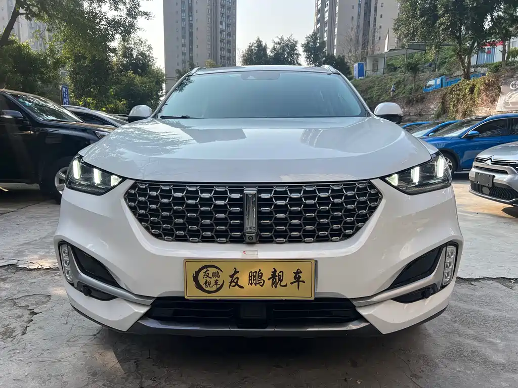 WEI PAI WEI BRAND VV6