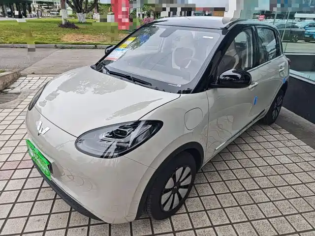 2026 Wuling Motors Binguo