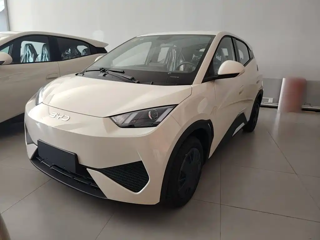 BYD Seagull