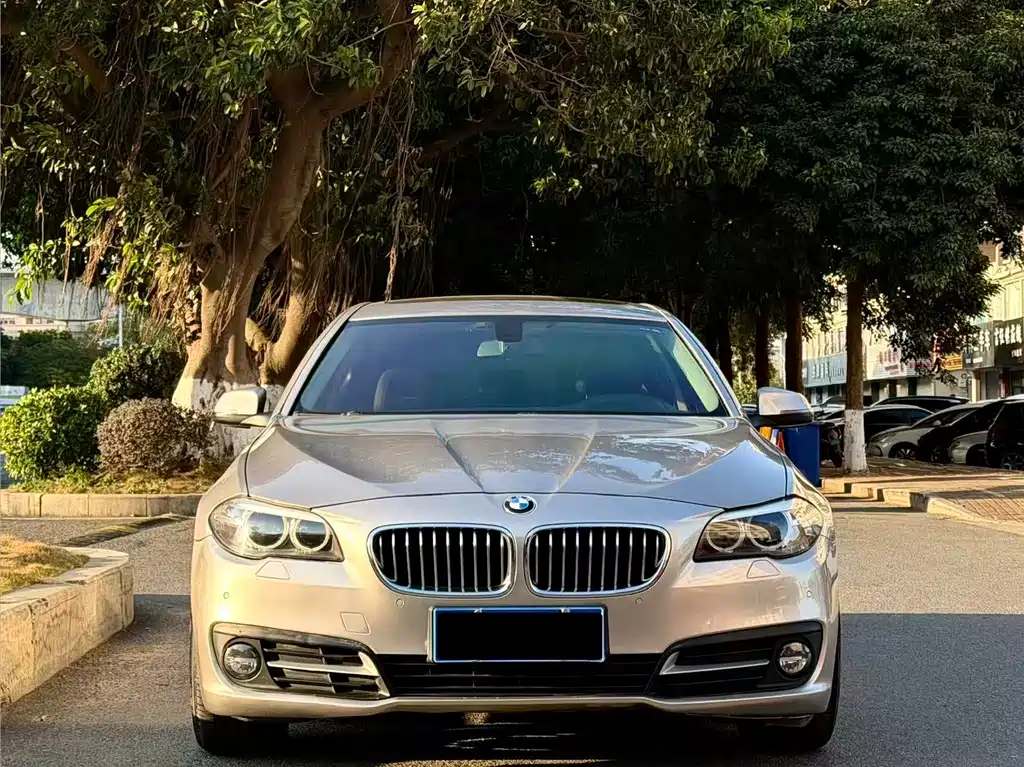 BMW 5 Series 2015