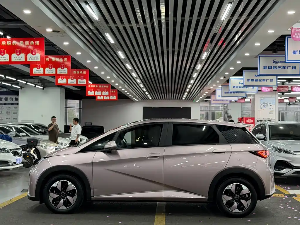 BYD Dolphin 2024 420km Fashion
