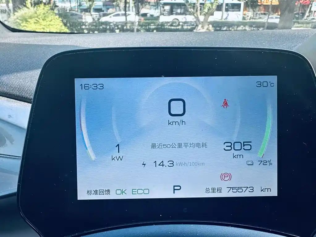 BYD Dolphin 2023 420km Fashion