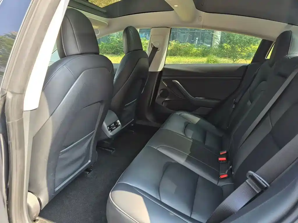 Tesla Model 3 — миниатюра 6