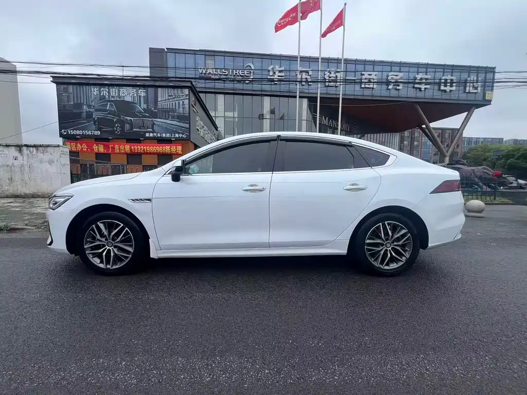 BYD Qin Plus PLUS 2024 DM-i 55KM Lead