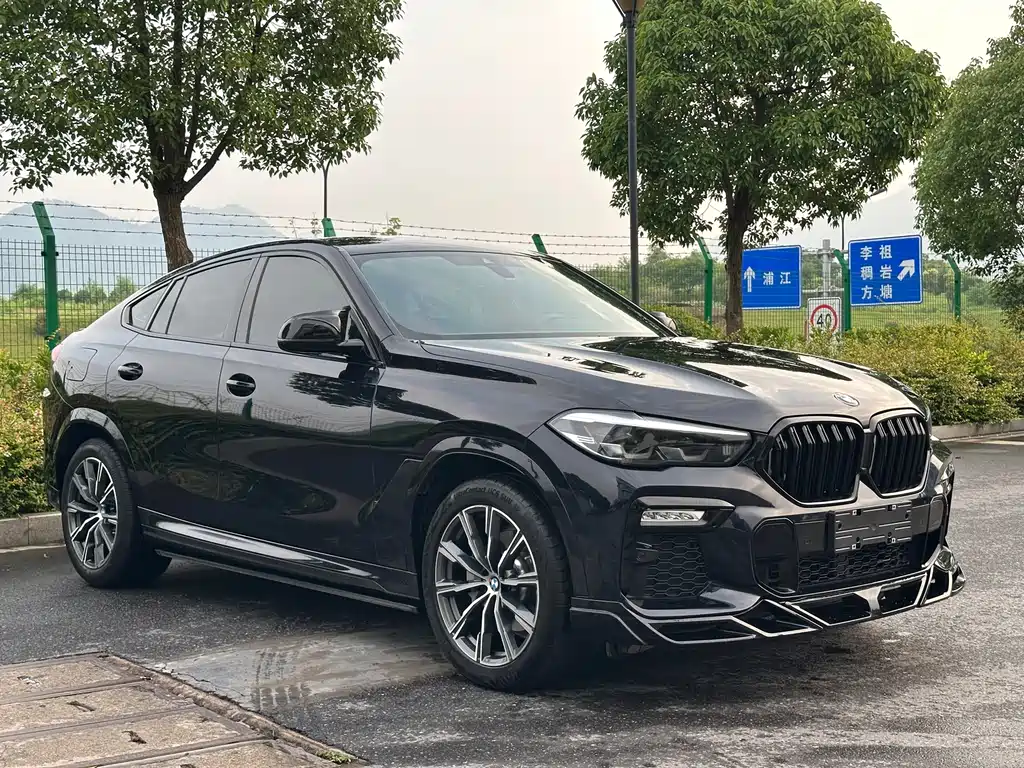 BMW X6 2020 xDrive30i M Sport