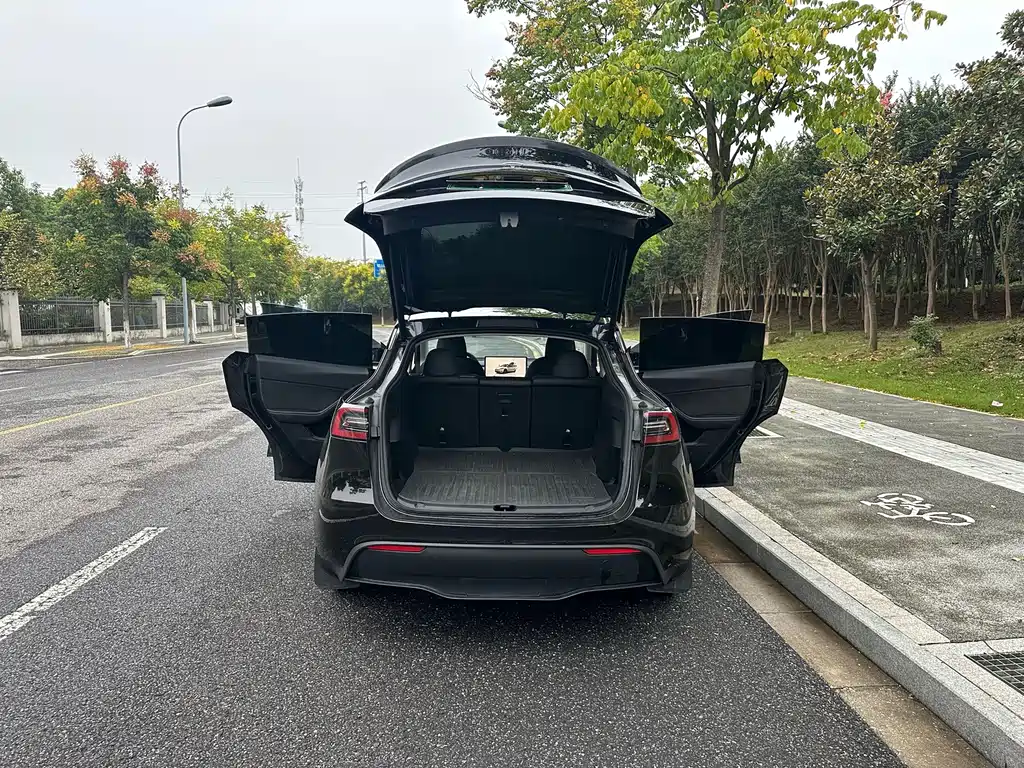 Tesla Model Y — миниатюра 7