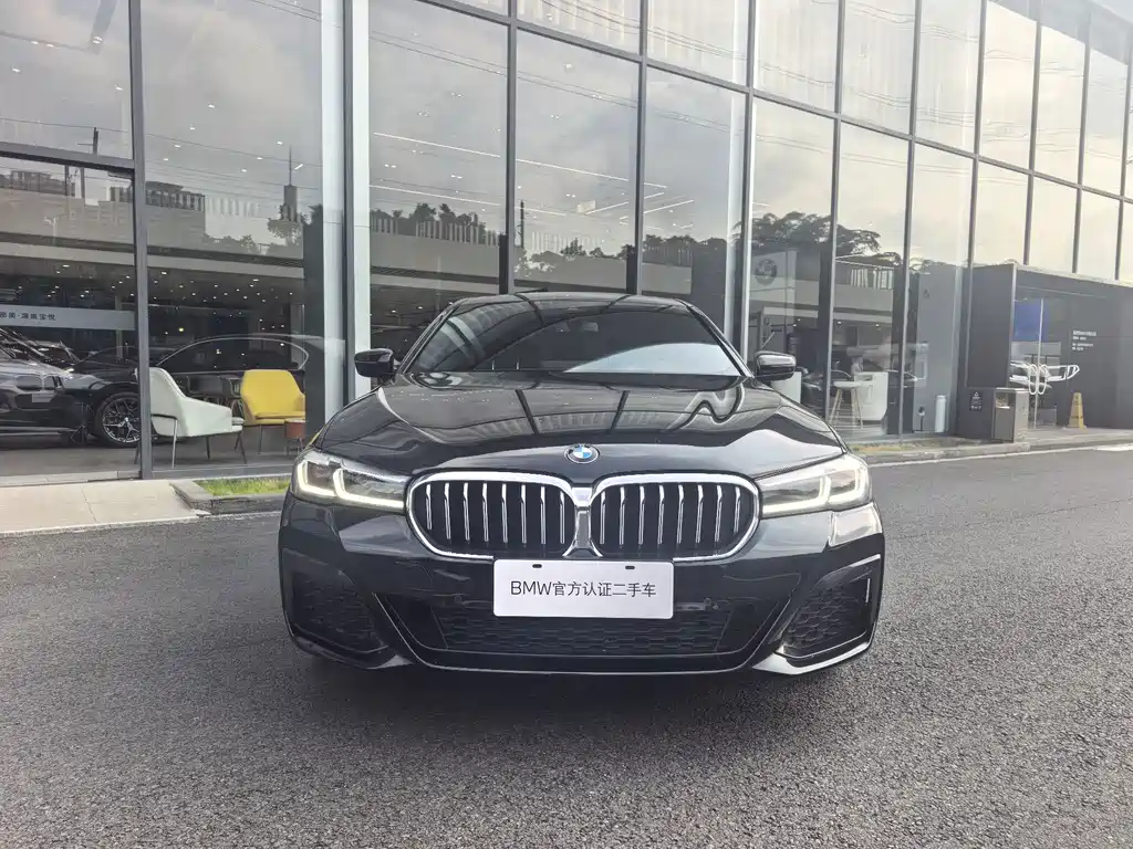 BMW 5 Series — миниатюра 2
