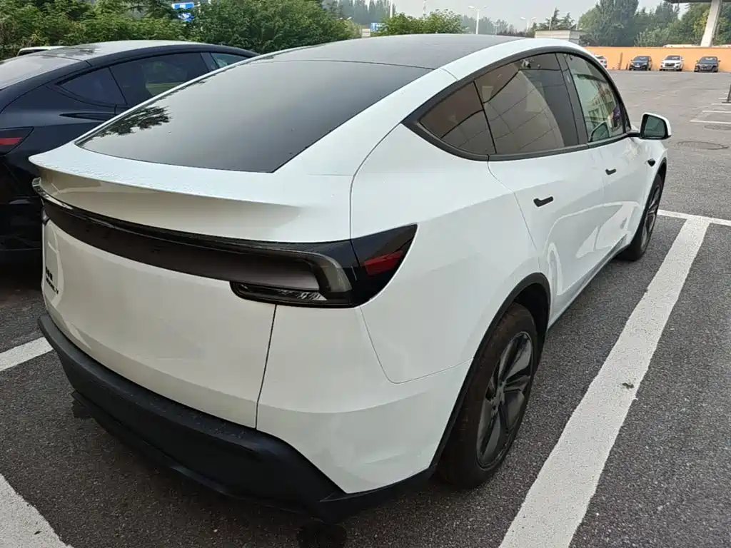 Tesla Model Y — миниатюра 7
