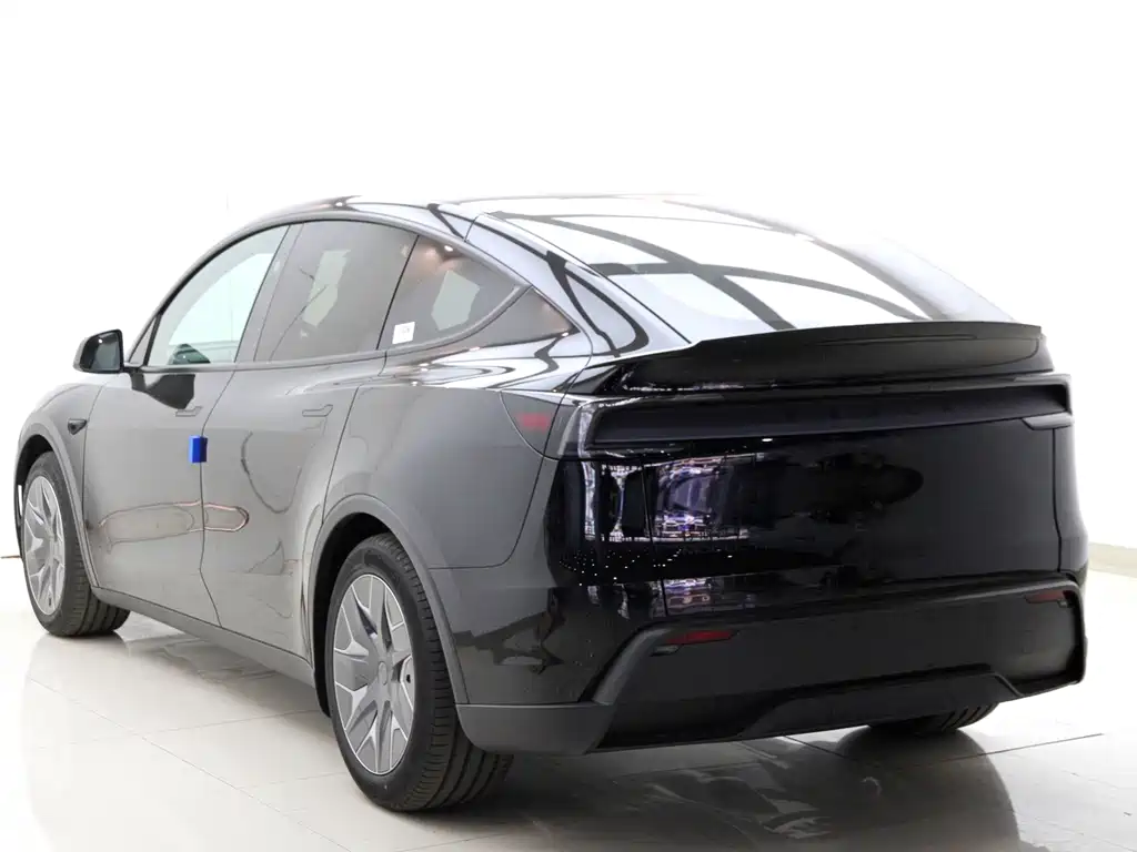 Tesla Model Y L — миниатюра 8