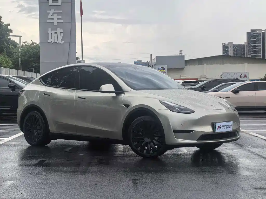 Tesla Model Y — миниатюра 3