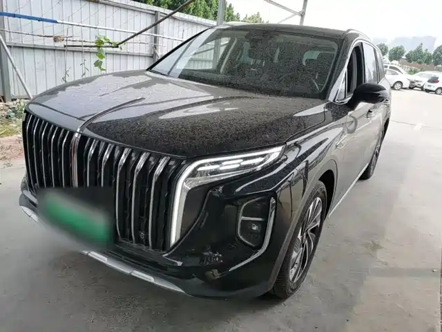 2024 Hongqi HS7