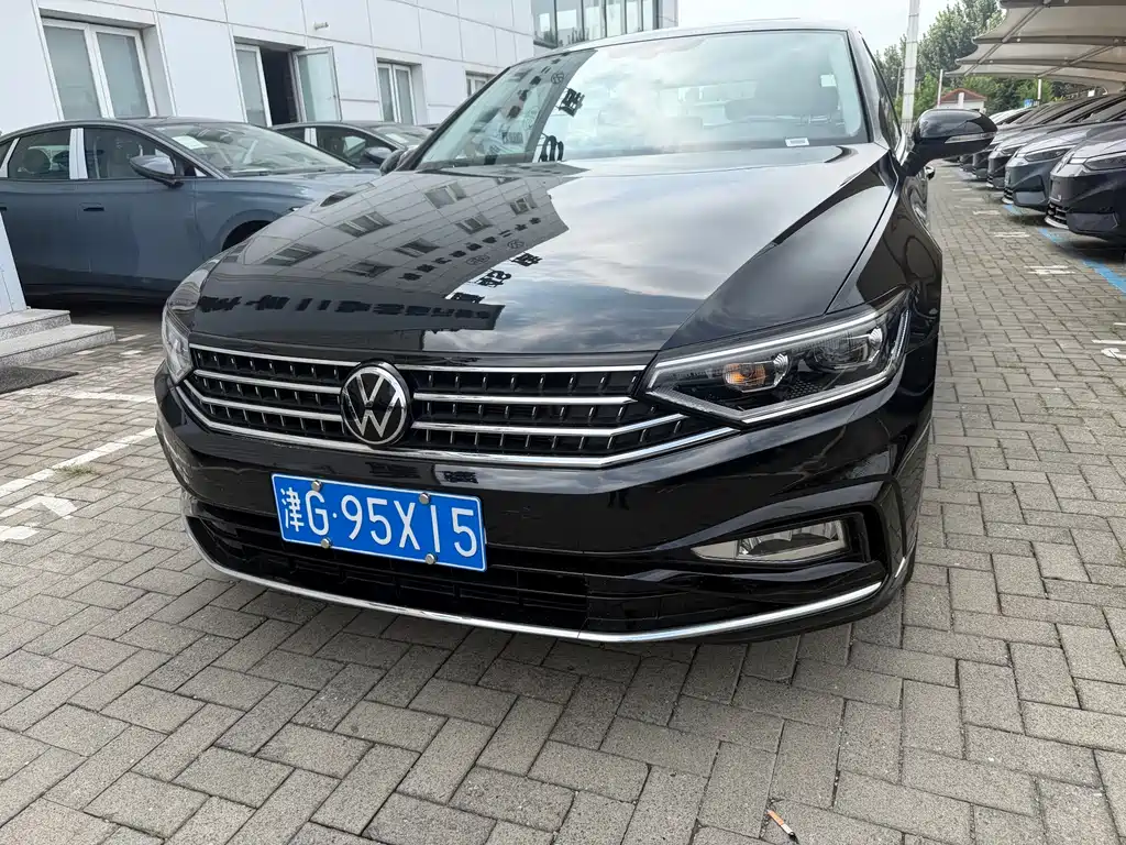 Volkswagen Magotan — миниатюра 2