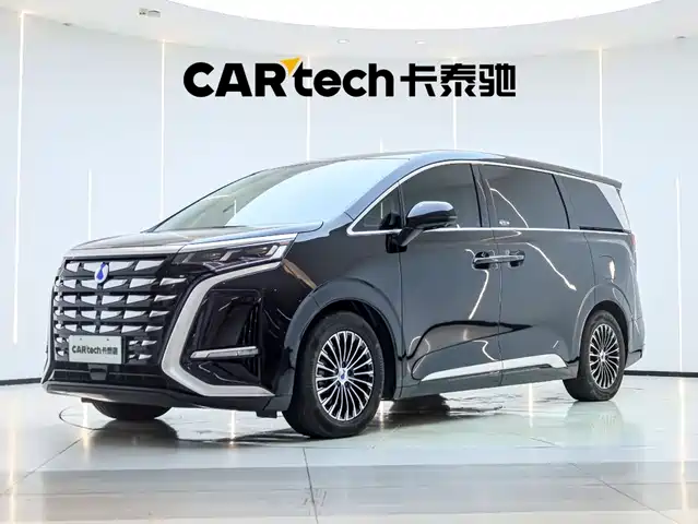 2024 Denza D9