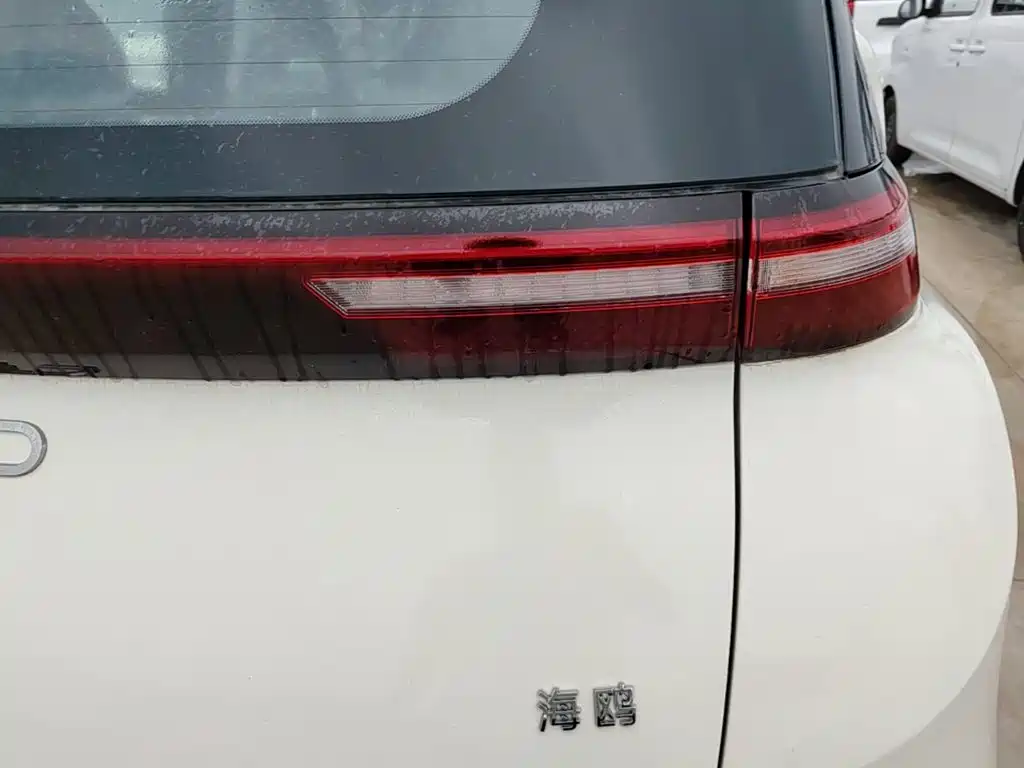 BYD Seagull 2025 Smart Drive 305km