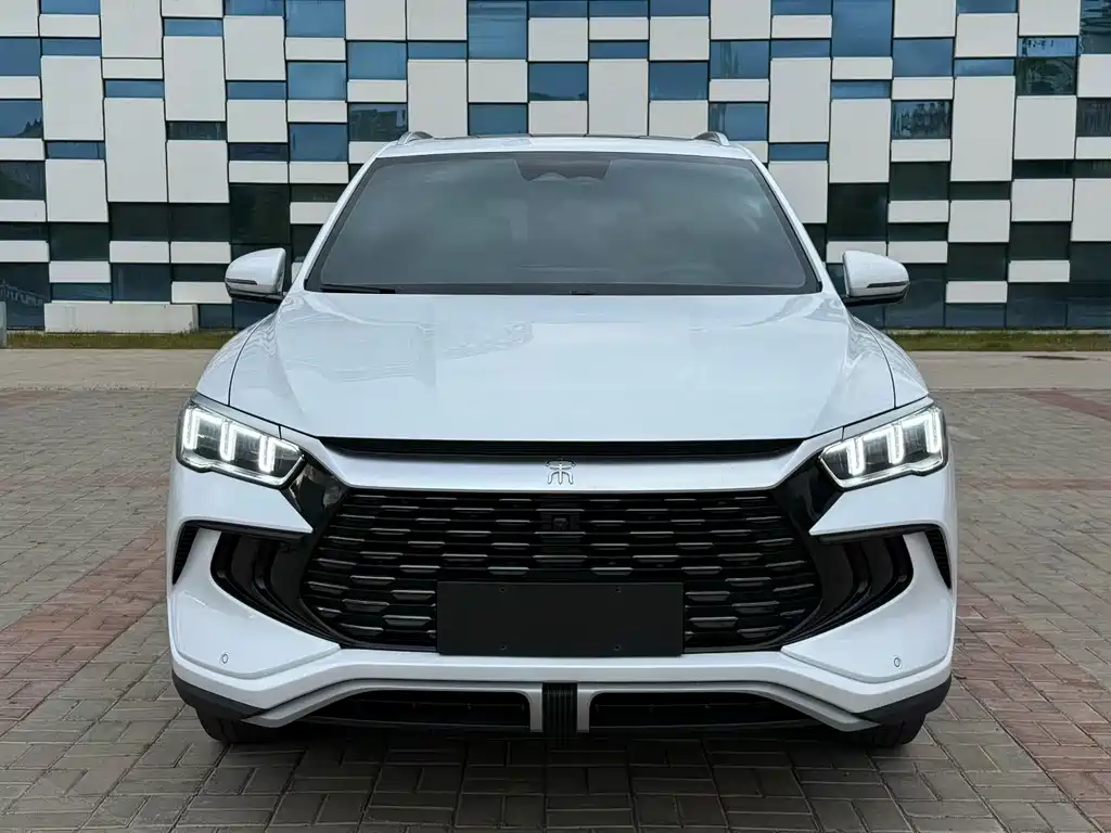 BYD Pro New Energy — миниатюра 2